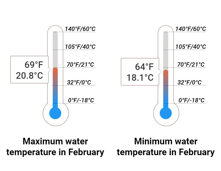 Average Sea temperature